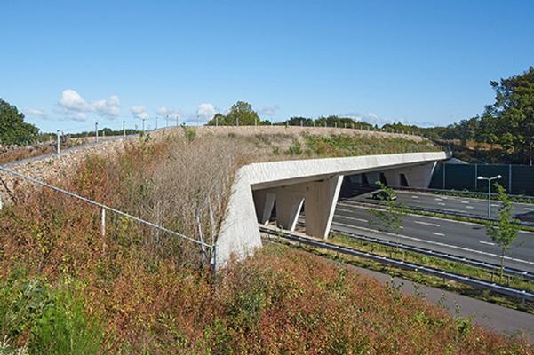 Ontheffing voor geleidehonden op de natuurbruggen van GNR